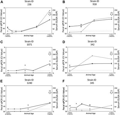 Genomic epidemiology of Mycobacterium avium subsp. paratuberculosis isolates from Canadian dairy herds provides evidence for multiple infection events